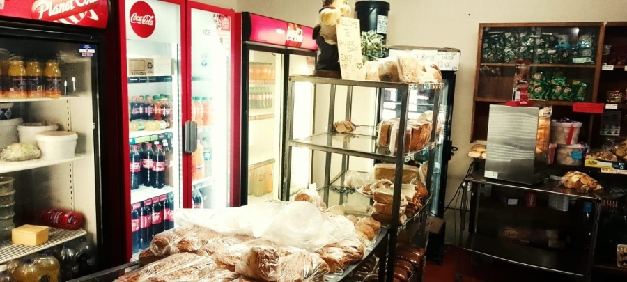 Commercial Property for Sale in Hamilton Free State